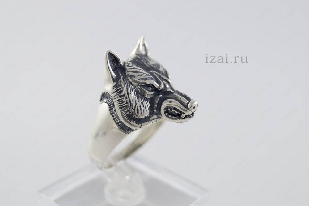 Кольцо волк или с головой волка из серебра и золота. izai (1)